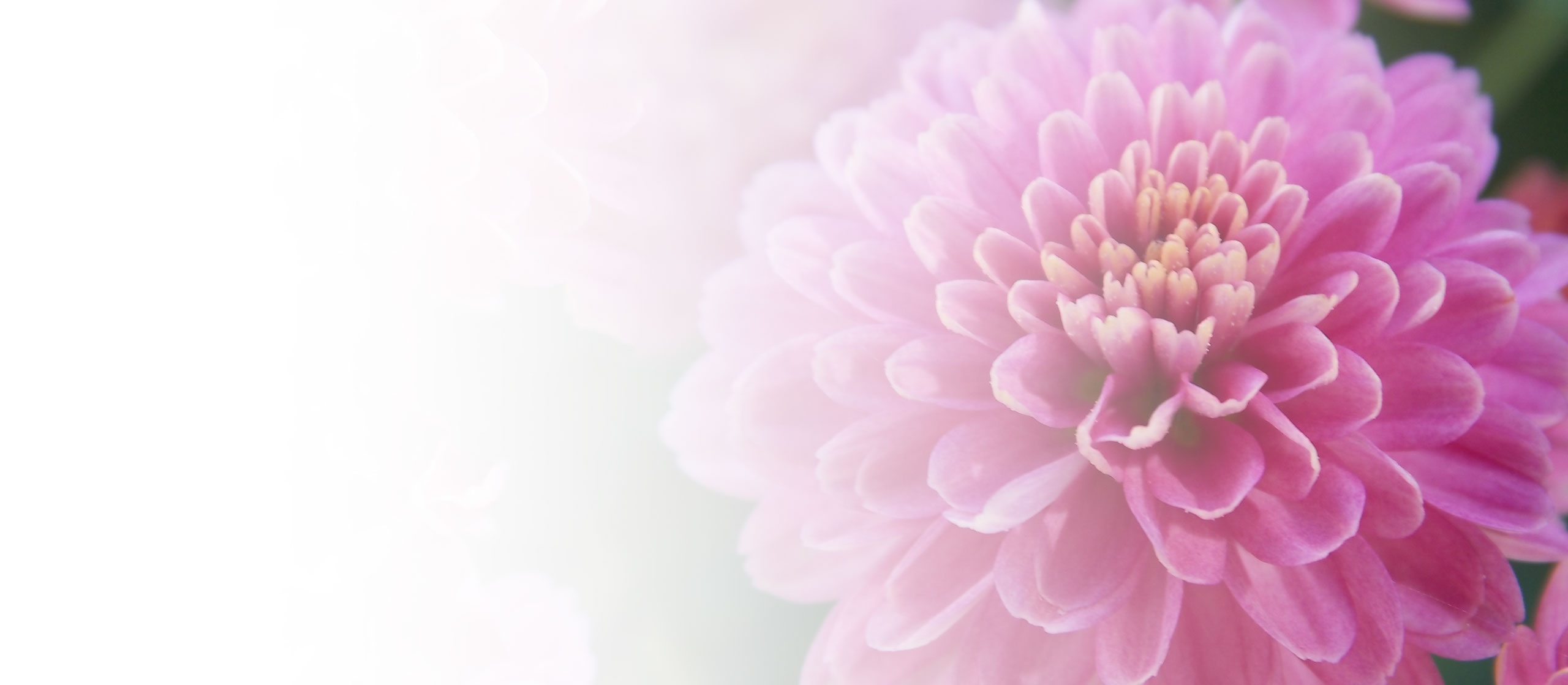 Praktijk voor Natuurgeneeskunde